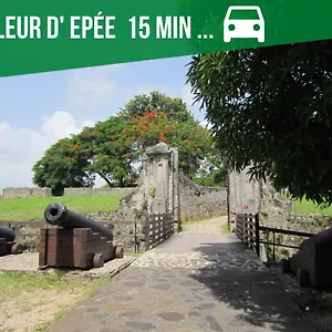 https://le-nid-dor-appartement-de-standing.comcaribbean.com